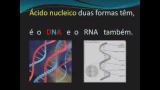 MÚSICA ÁCIDOS NUCLEICOS dna rna música biologia [upl. by Tezil]