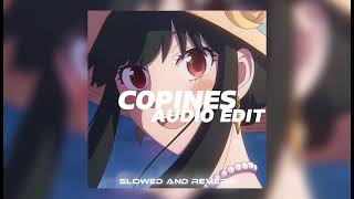 Copines  audio edit  slowed and reverb [upl. by Artenek997]