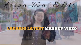 Ladakhi New Song Mashup  Ladakhi Latest Song  Zospa Wa Edits [upl. by Euqirat]