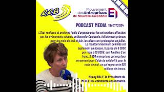 20240719 RRB  Le MedefNC commente le renforcement des mesures Etat aux entreprises calédoniennes [upl. by Hooker]