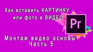 Adobe Premiere Pro Как вставить КАРТИНКУ или фото в ВИДЕО Вставка картинки и фотографии [upl. by Rutger]