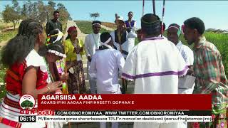 Kuufamni Aadaa faaya Obbo Qajeelaa Mardaasaa 21 05 2014 [upl. by Didier705]