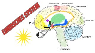 Limbisches System mächtiges Unterbewusstsein Folge 14 [upl. by Gayler271]