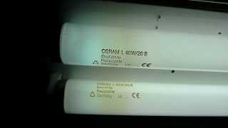 Świetlówki Osram 40W  fluorescent tubes T12 40W [upl. by Birecree]