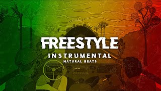 PISTA DE RAP  FREESTYLE 17  INSTRUMENTAL DE HIP HOP PARA IMPROVISAR  NATURAL BEATS [upl. by Anaig]