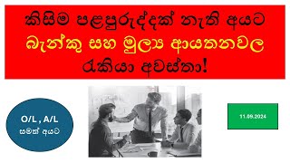 Latest Banking Finance and Insurance Job Vacancies in Sri Lanka  September 2024 [upl. by Sybil]