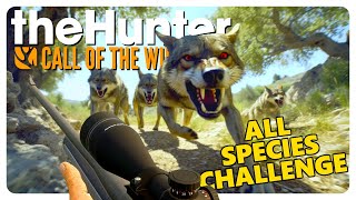 Cuatro Colinas COUNTDOWN 60Minutes ALL SPECIES Challenge  theHunter Call of the Wild [upl. by Philbert674]