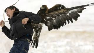 Chinese Man Attacked By A Golden Eagle hd [upl. by Euqinamod]