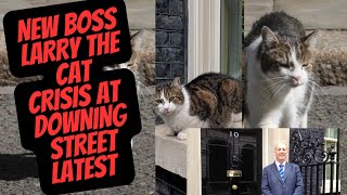 LARRY THE CAT  NEW BOSS NEW HOME LATEST NEWS downingstreet cat larrythecat [upl. by Edrock788]