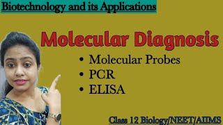 Molecule Diagnosis in Biotechnology PCR  ELISABiotechnology and its applicationsClass 12 Biology [upl. by Ruyam]