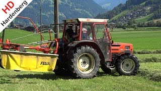 Gras harken  Same Argon 70  Fella  Raking the Grass  Stockach  Zillertal  Tirol  Austria [upl. by Kcirdnekel]