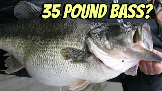 35 Pound Largemouth Bass Caught And Eaten… [upl. by Nonahs609]