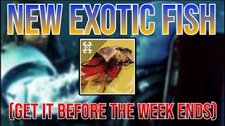 Destiny 2 Another NEW EXOTIC FISH Is Now Available Get It BEFORE The Week Ends Vexing Placoderm [upl. by Dempster]