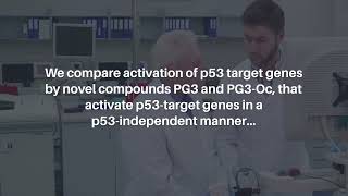 ISR Activation amp Apoptosis via HRI Kinase by PG3 and Other p53 Cancer Therapies  Oncotarget [upl. by Pax921]