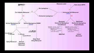 BPPV Treatment  Deep Head Hang Maneuver Why When amp How [upl. by Ellenar]