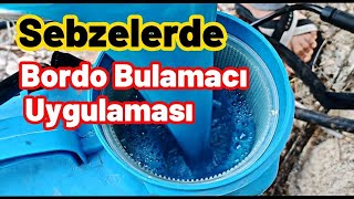 Sebzelerdeki hastalıkları bu uygulama ile durdurduk  Bordo bulamacı uygulaması [upl. by Iak]