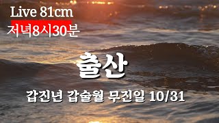 ION이온 5차원의 영혼 기적발동 81cmLive 방송 저녁8시30분 [upl. by Analiese]