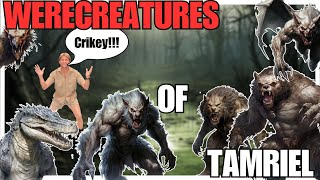 LYCANTHROPY in The Elder Scrolls Explained  The Elder Scrolls Lore [upl. by Luapnaej]