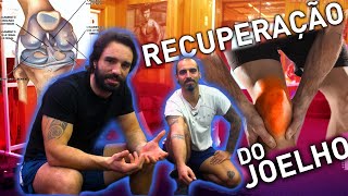 Fortalecimento e Recuperação do JOELHO  Treino Completo [upl. by Lilian756]