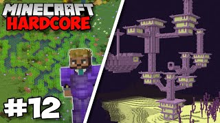 Raiding An END CITY amp Sugarcane Farm  Minecraft 118 Hardcore 12 [upl. by Perkins21]