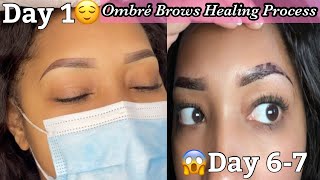 Ombre Brows Healing Process [upl. by Aeki]