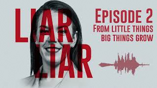 Liar Liar Melissa Caddick amp the missing millions podcast Ep 02  From Little Things [upl. by Nemzzaj588]