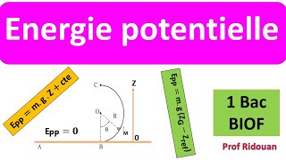 exercice corrigé travail et énergie potentielle et énergie mécanique 1bac biof [upl. by Einahc]