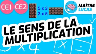 Le sens des multiplications CE1  CE2  Cycle 2  Maths  Mathématiques [upl. by Ahsyen762]