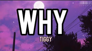 WhyTiggy Lyrics [upl. by Anemolihp719]