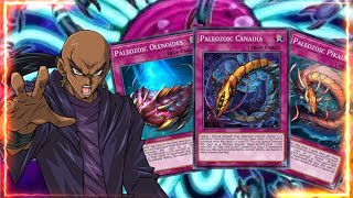 NUEVO DECK PALEOZOICO EN META duel link yugioh ShareDeckduellinkscommunity [upl. by Morna]