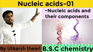 Nucleic acids and their Components  Nucleic acid  BSC Organic Chemistry [upl. by Aerdnat945]