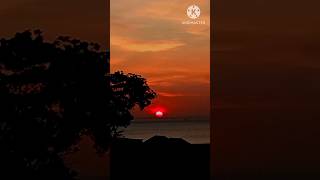 Awesome Sunset at Montigo Resorts batam explore vlog video ytshorts shorts chill sunset yt [upl. by Erehpotsirhc]