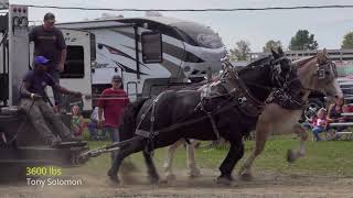 WoodhullNY 2019 Lightweight Horse Pull [upl. by Inesita501]