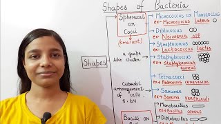 Shapes of Bacteria  coccus  bacillus  comma shaped  spiral shaped [upl. by Mann]