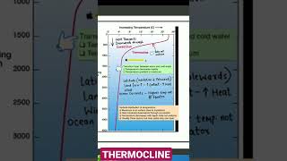 THERMOCLINE [upl. by Aicenev]