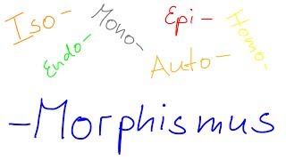 Alle Morphismen im Überblick Iso Mono Epi Endo Auto Homomorphismus [upl. by Annam]