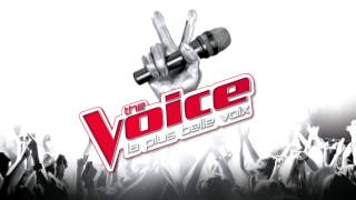 The Voice  La Tournée 2017 [upl. by Aletse]