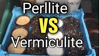 Perlite vs Vermiculite Whats the difference amp which to choose [upl. by Eanehs668]