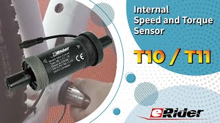 eRider Internal Speed and Torque Sensor  T10T11 [upl. by Allista667]