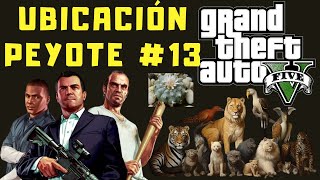 Ubicaciones de Peyote en GTA V 13 Modo Historia [upl. by Essirehc]