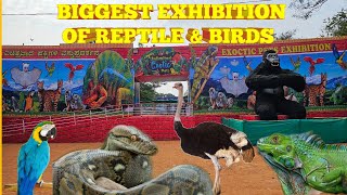 India Kaa Sabse Bada Reptile and Birds Exhibition [upl. by Fred]