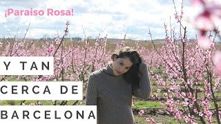 Pueblos bonitos cerca de Barcelona Aitona Lleida y Paraiso Rosado  Rosa Virginia [upl. by Colfin]