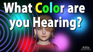 What is Synesthesia Animation [upl. by Dulciana]