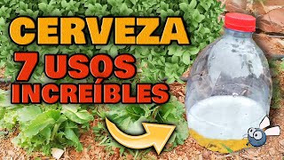 7 USOS de la CERVEZA en tus PLANTAS y Huertos Urbanos 💚 Eliminar la Mosca Blanca de las Plantas [upl. by Clinton]