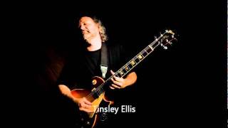 Tinsley Ellis  So Many Tearswmv [upl. by Grous]