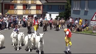 Umzug Jodlerfest Appenzell 2022 [upl. by Essirehs14]