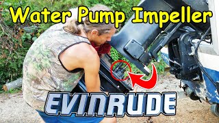 How To Change An Evinrude Outboard Water Pump Impeller [upl. by Mandi]