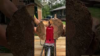 Splitting Wood With Harbor Freight 300 Log Splitter [upl. by Yrral]