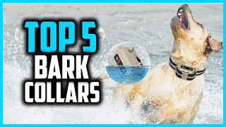 ✅Top 5 Best Bark Collars for Dogs Reviews 2024 [upl. by Durning408]