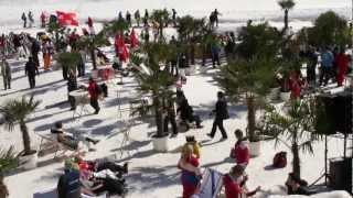 Bad Gastein Palmen auf den Almen 2012mp4 [upl. by Htevi]